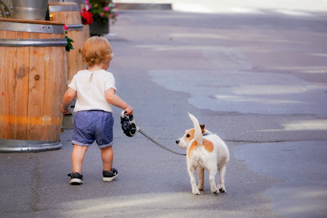 A small child walking a small dog on a leash.